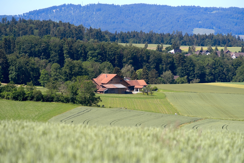 An image depicting the trail Erlenbach to Küsnacht Trail and its surrounding area.