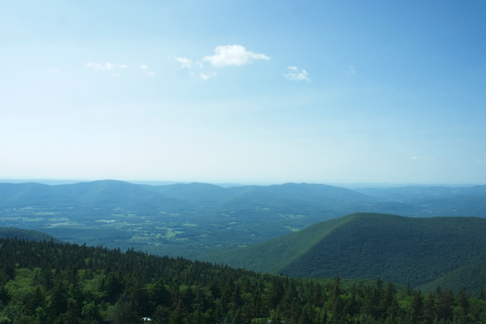 An image depicting the trail Mount Williams, Mount Fitch, Mount Greylock and Stony Ledge via Hopper Brook and its surrounding area.