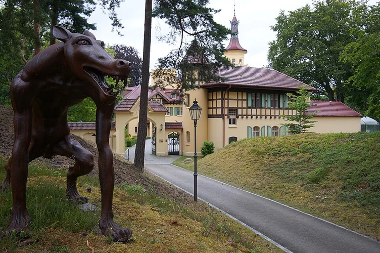 Eschaueler Berg, Hubertushöhe and Backesberg Loop - Rurtalsperre