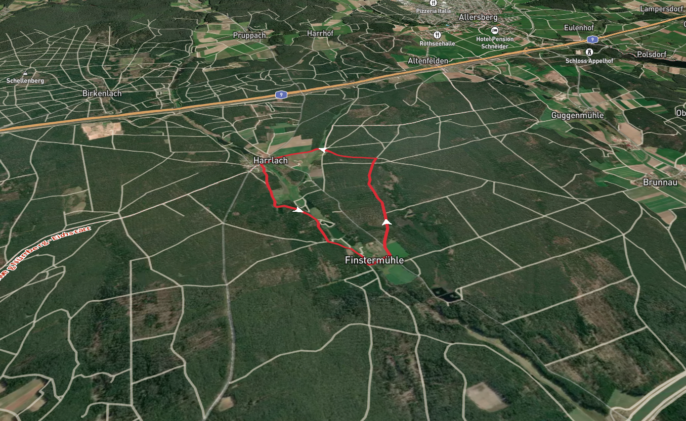 Wildmeistersteig and Deininger Weg Loop