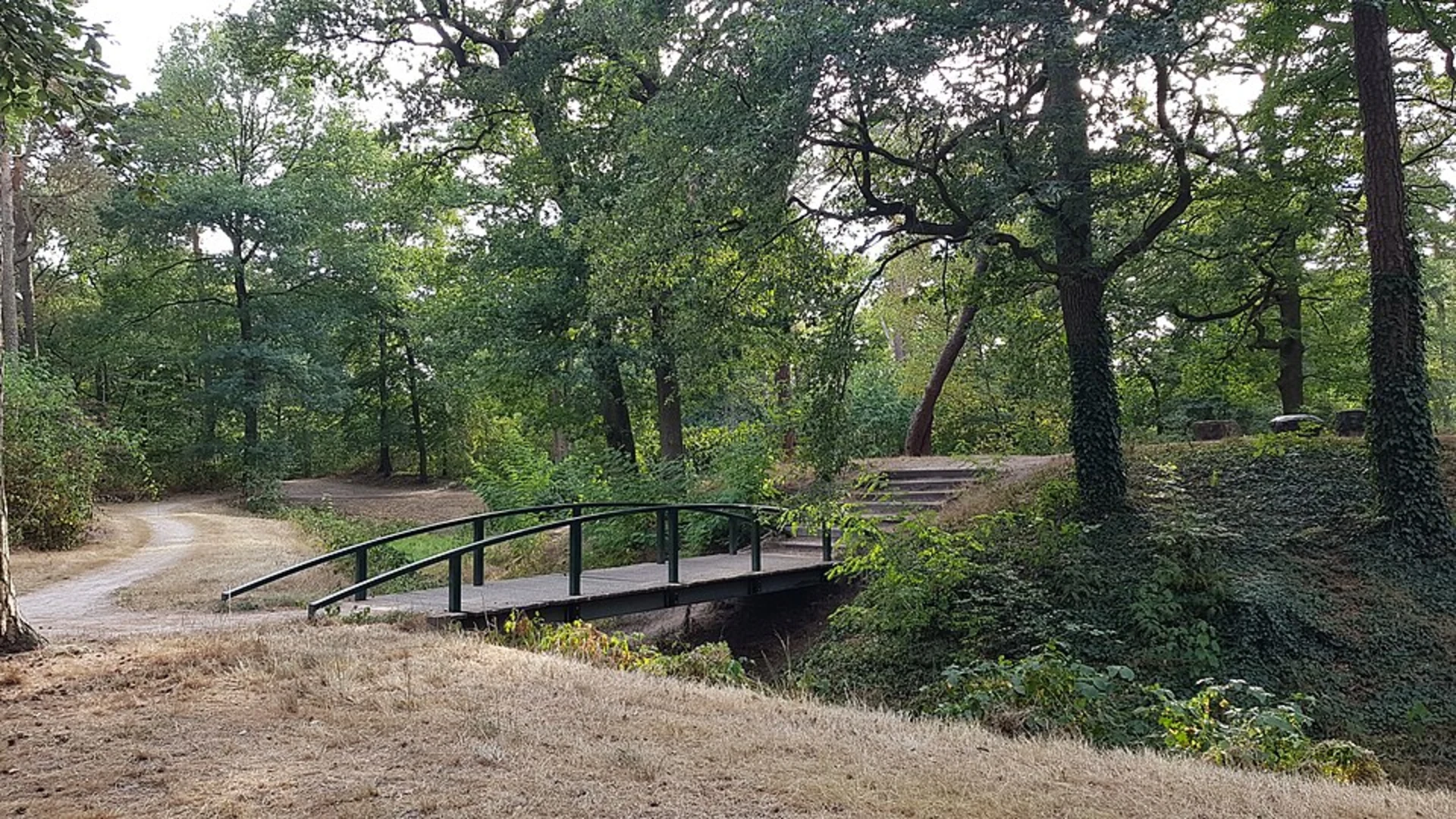 An image depicting the trail Himrikerpad, Ald Hearrewei and freutesingel Loop and its surrounding area.