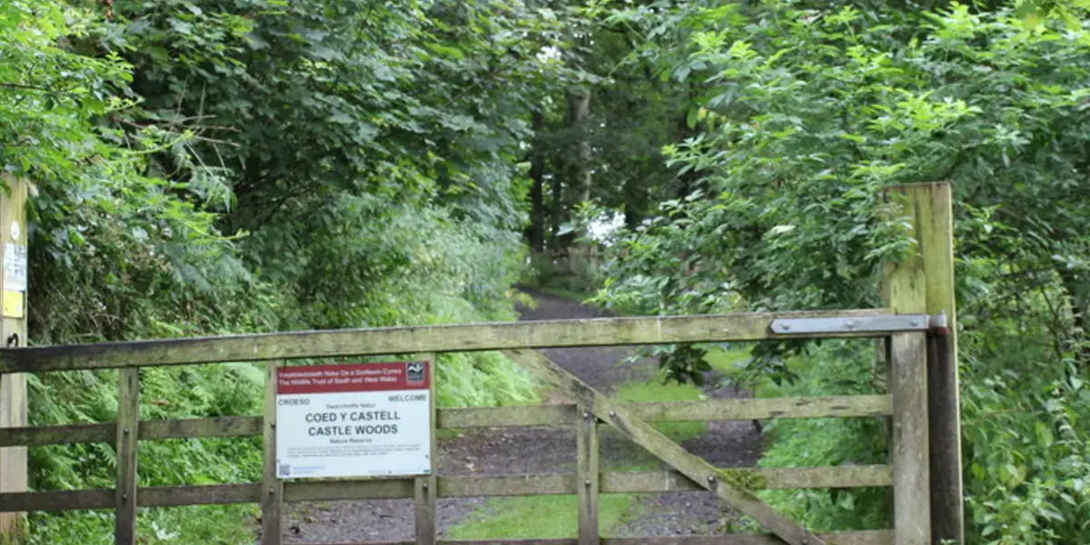 Dinefwr Park Wildlife Walk - Carmarthenshire