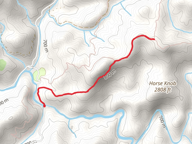 Yellow Mountain Trail from Cooper Creek