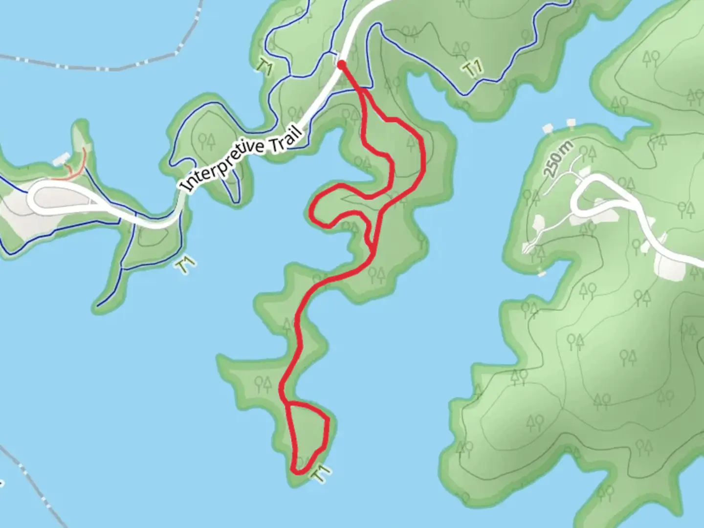 An image depicting the trail Chestnut Ridge Trail Loop and its surrounding area.