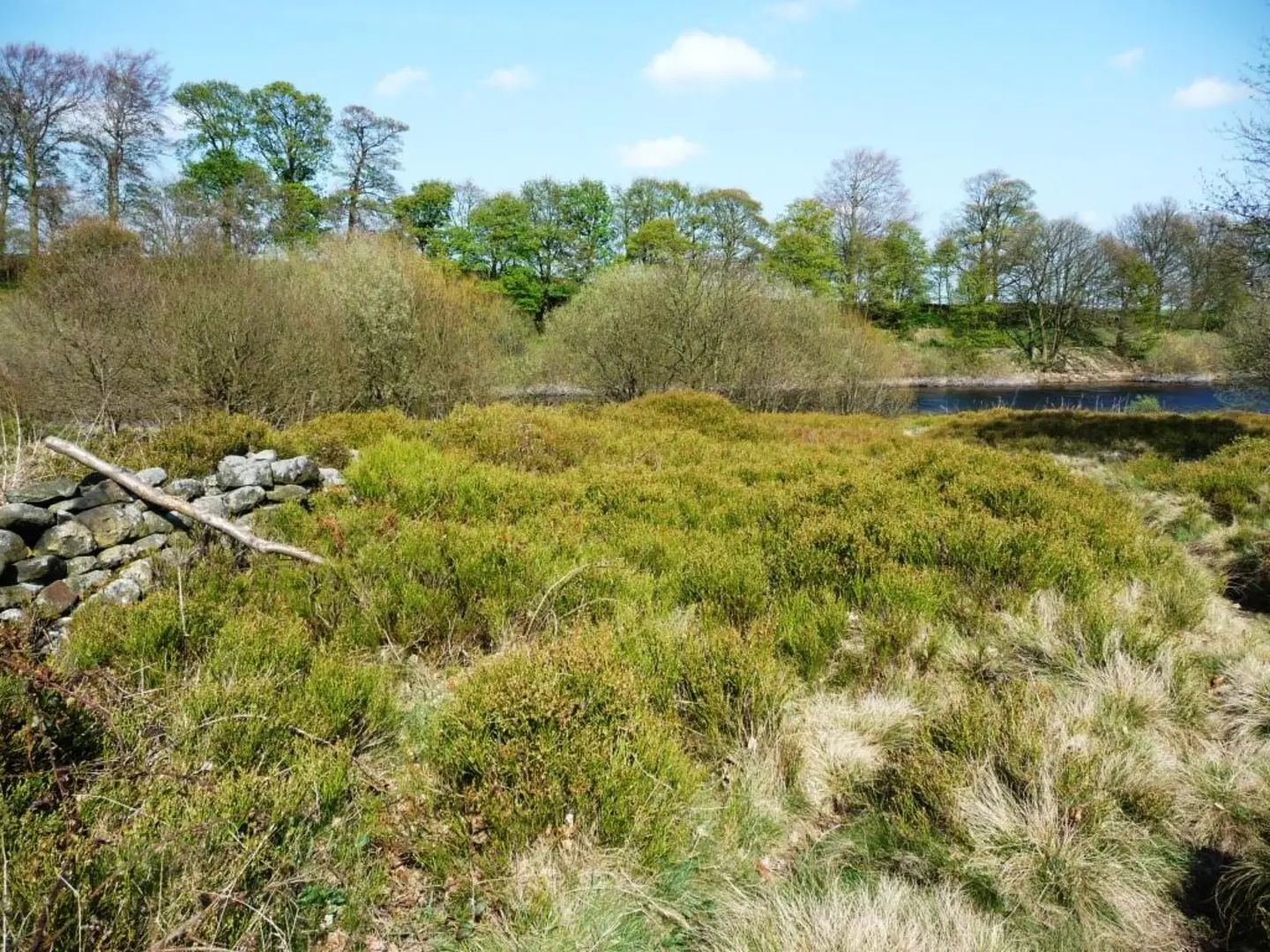 An image depicting the trail Royd Moor Reservoir Loop and its surrounding area.