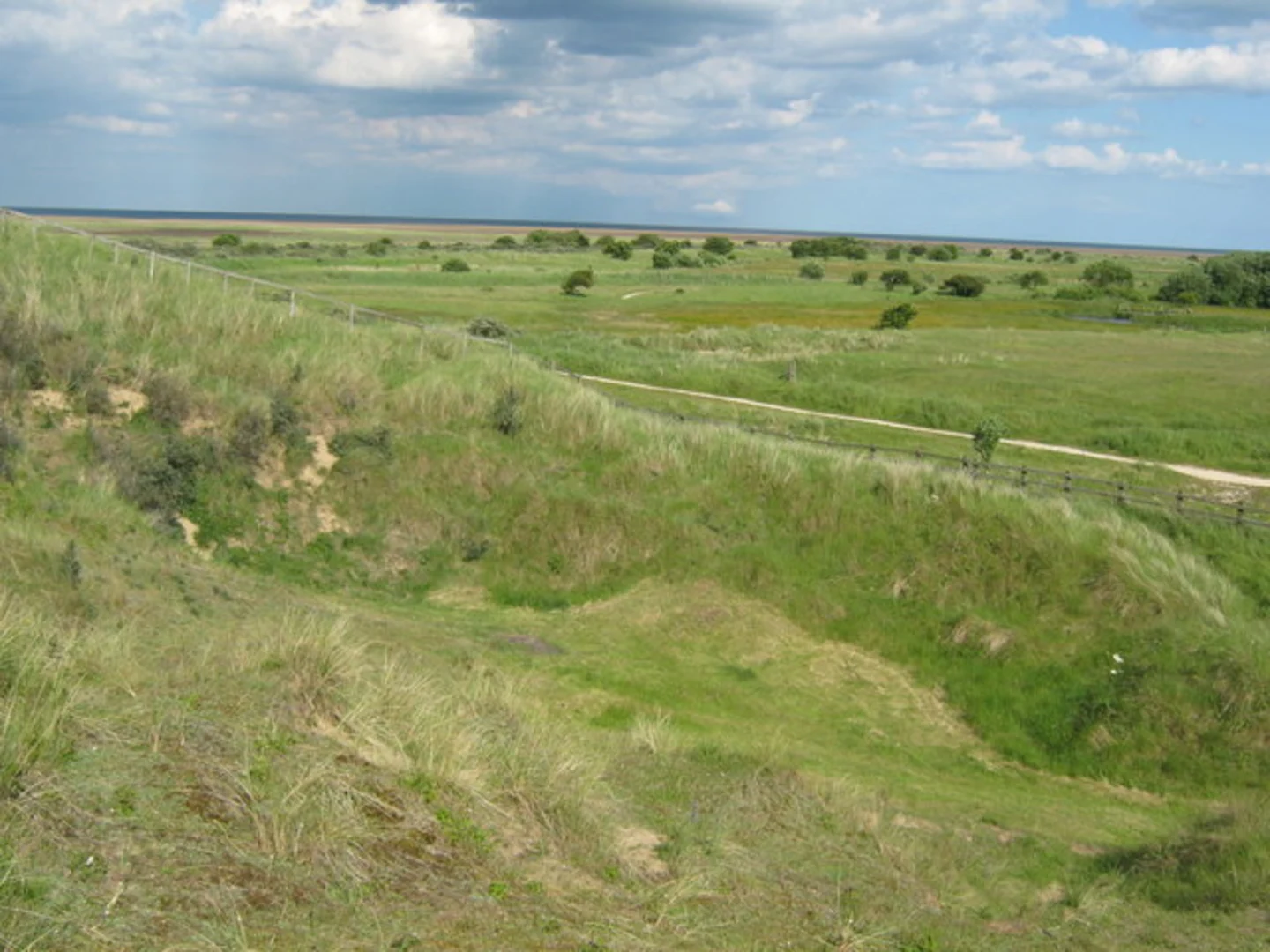 An image depicting the trail Saltfleetby Theddlethorpe Dune Walk and its surrounding area.