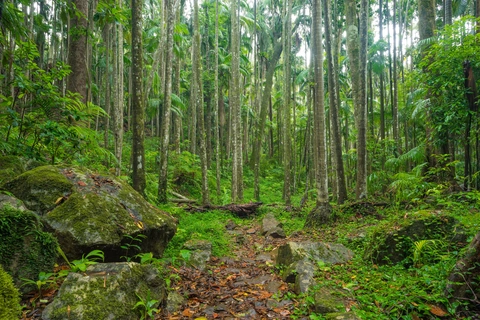 Lower Creek Circuit Track