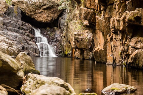 An image depicting the trail Smiths Track and its surrounding area.