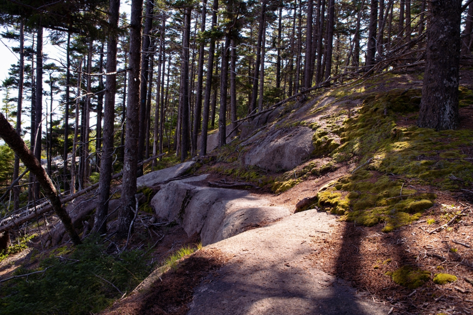 An image depicting the trail Mansell Mountain via Perpendicular Trail and its surrounding area.