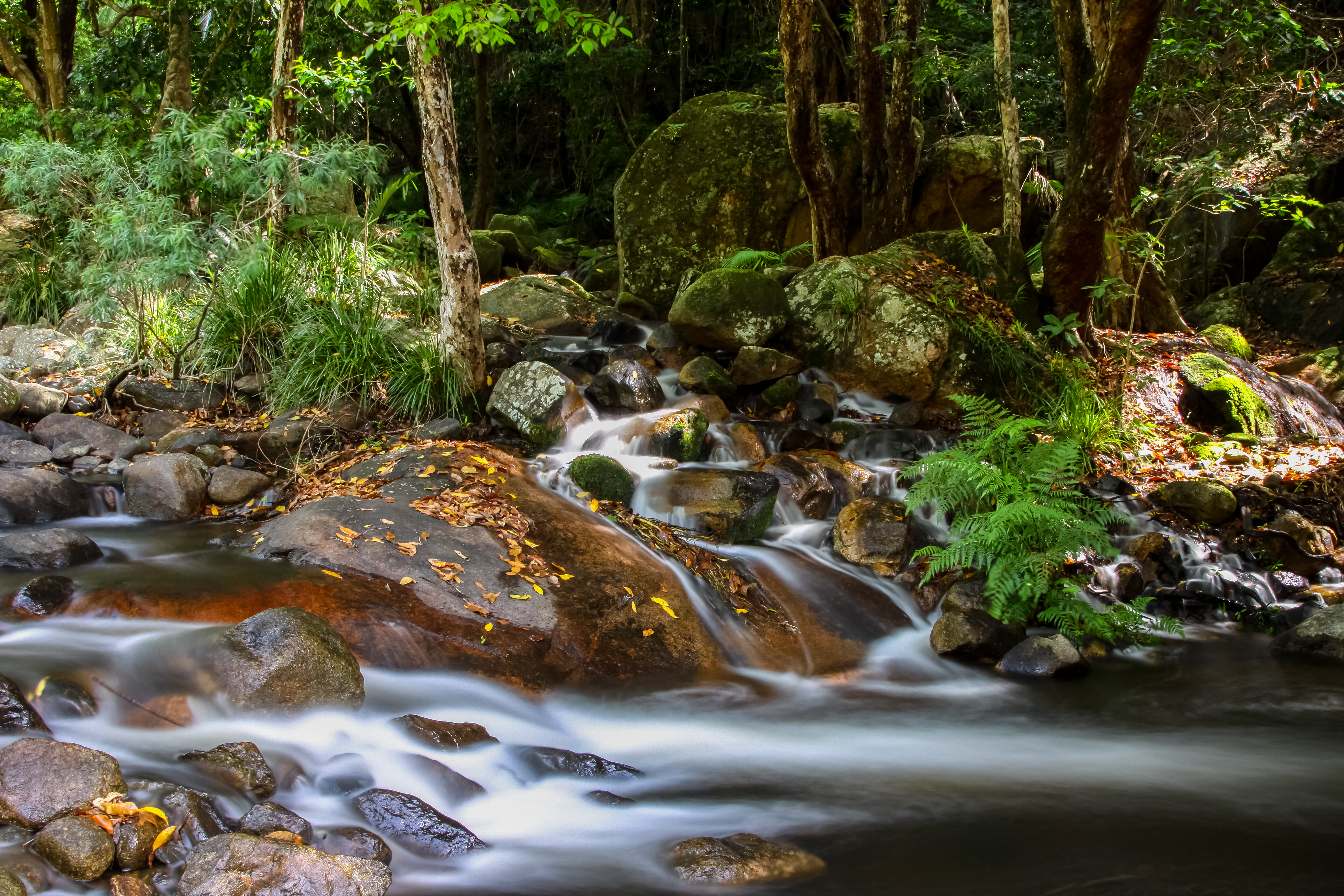 An image depicting the trail Paluma Range National Park and its surrounding area.