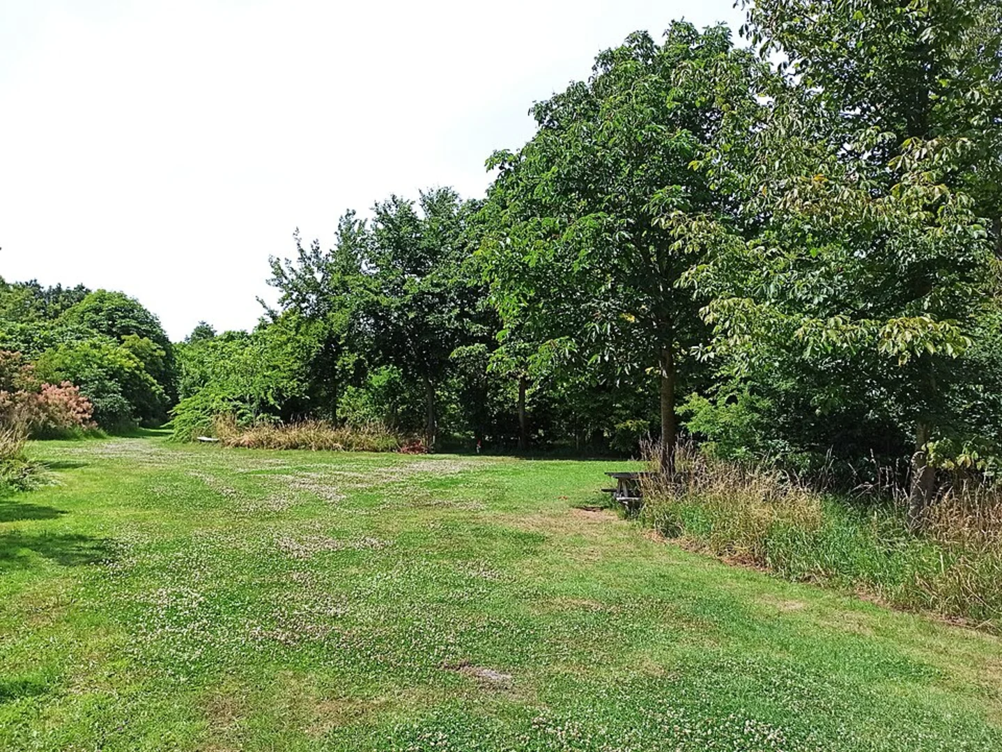 An image depicting the trail Boswachterij Anloo, Arboretum and Gagelveen Loop and its surrounding area.