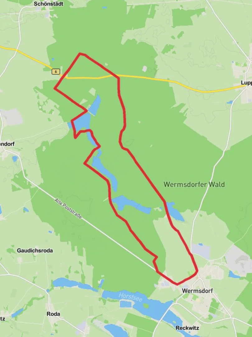 An image depicting the trail Wermsdorfer Wald Loop via Kirchenteich and its surrounding area.