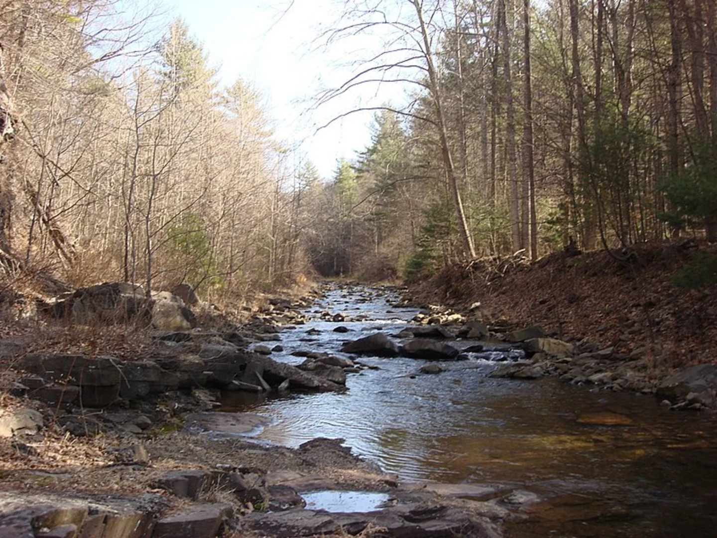 An image depicting the trail Hiner Springs via Wild Oak Trail and its surrounding area.