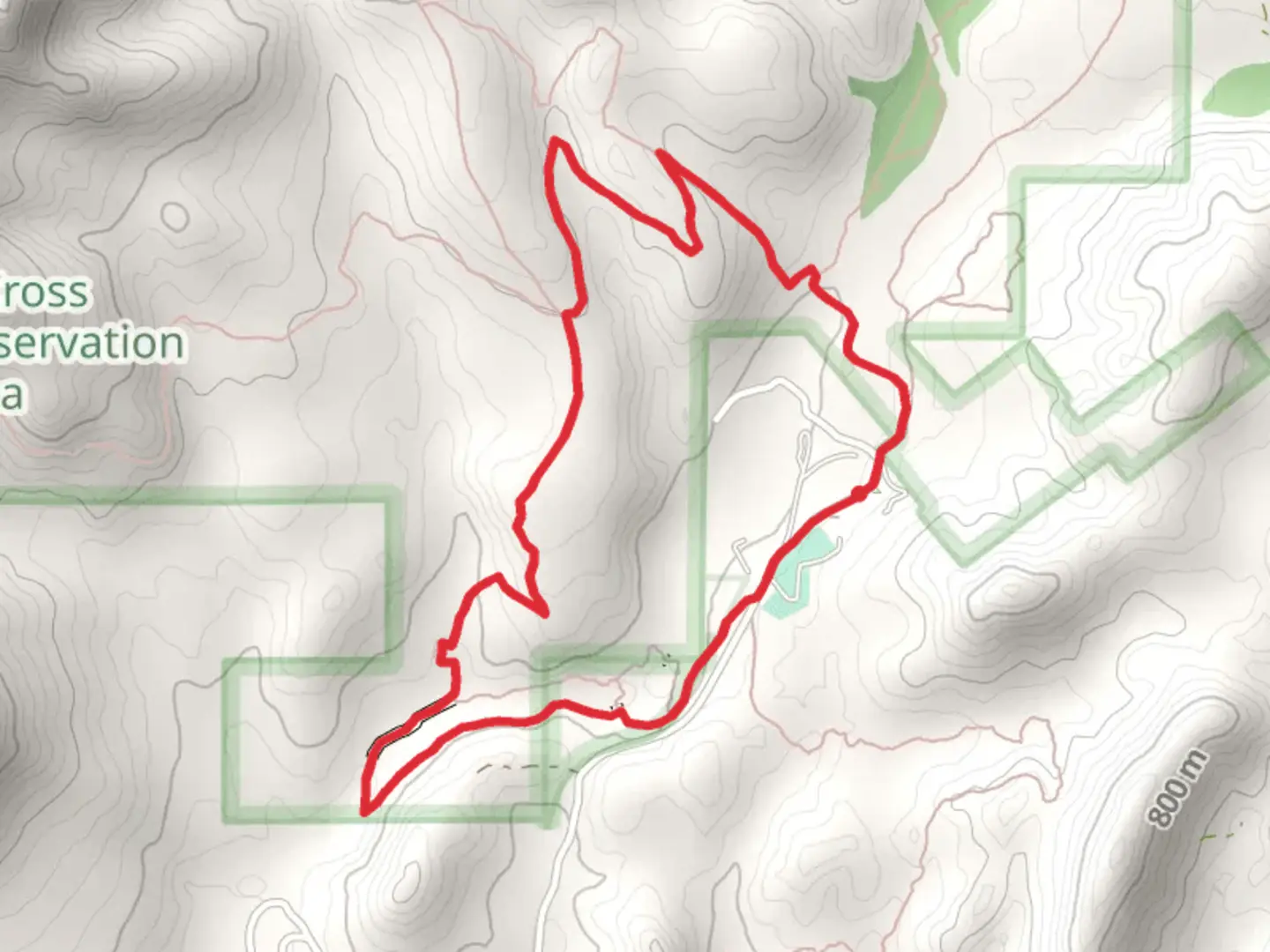 An image depicting the trail Spur Cross and Dragonfly Loop Trail and its surrounding area.