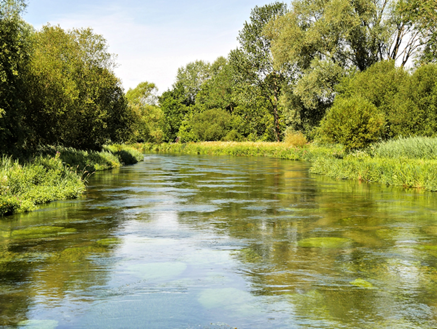 An image depicting the trail Easton, Martyr Worthy and Avington Loop and its surrounding area.