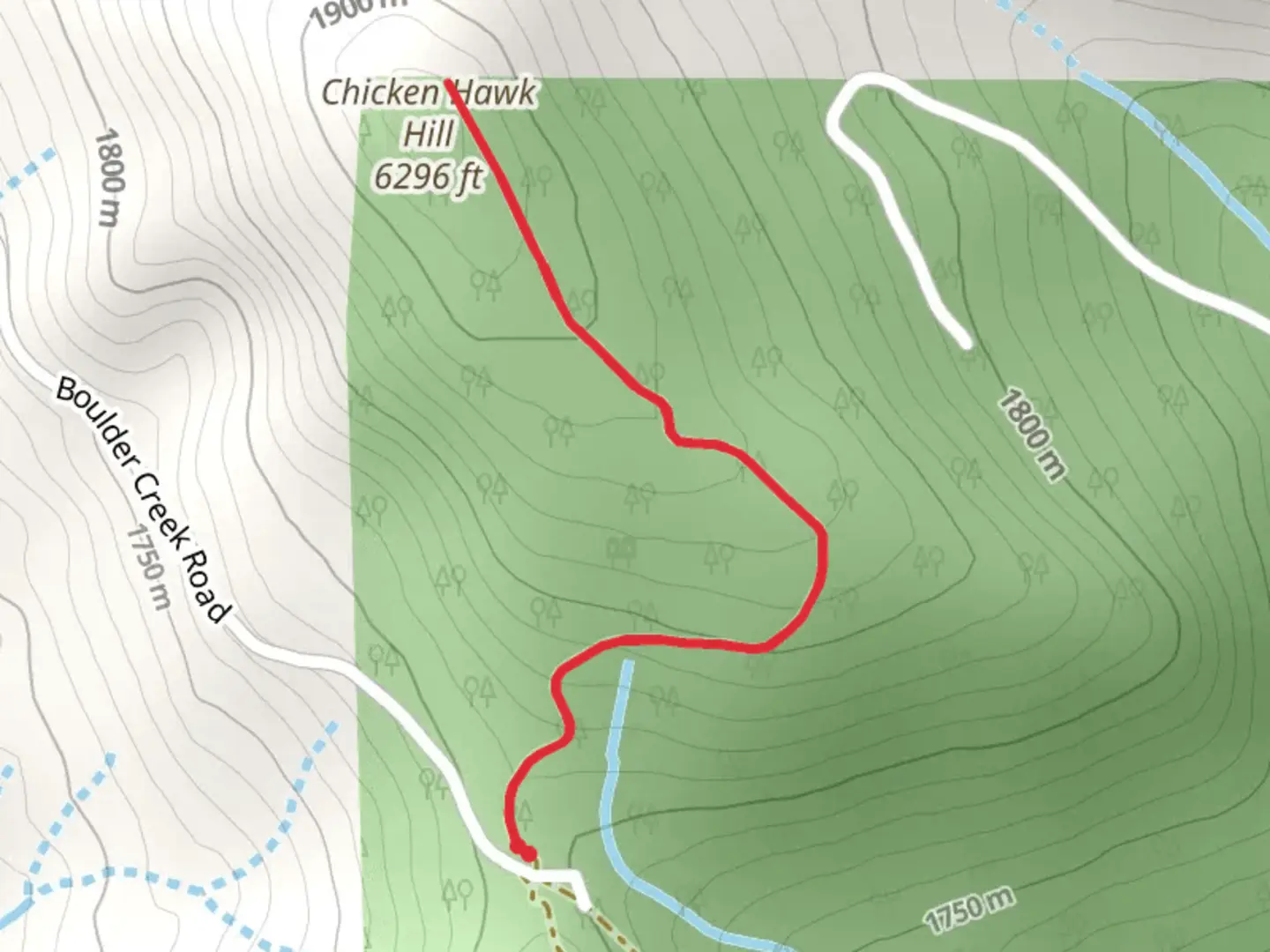 An image depicting the trail Chicken Hawk Hill Walk and its surrounding area.