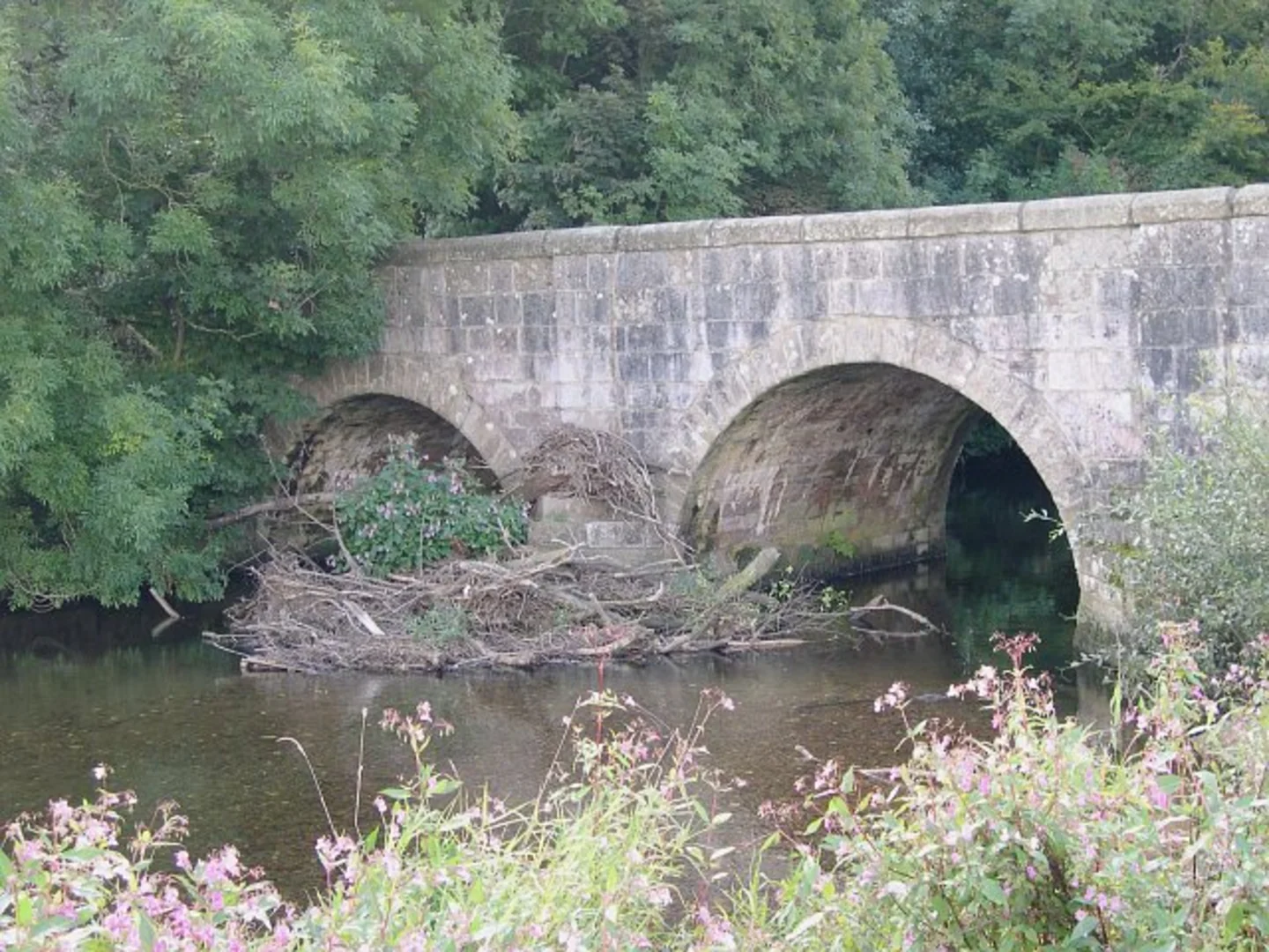An image depicting the trail Yealmpton to Ivybridge Walk and its surrounding area.