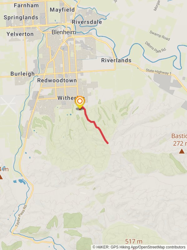 Mount Vernon Track mobile static map