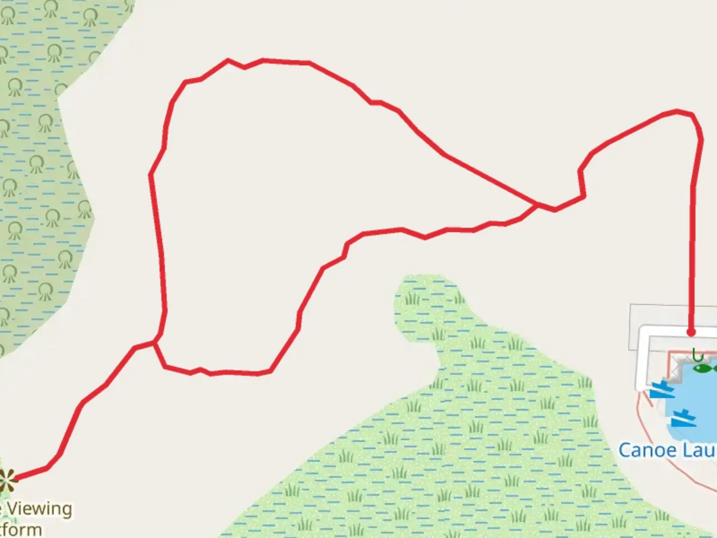 An image depicting the trail Royal Palm Hammock Loop Trail and its surrounding area.