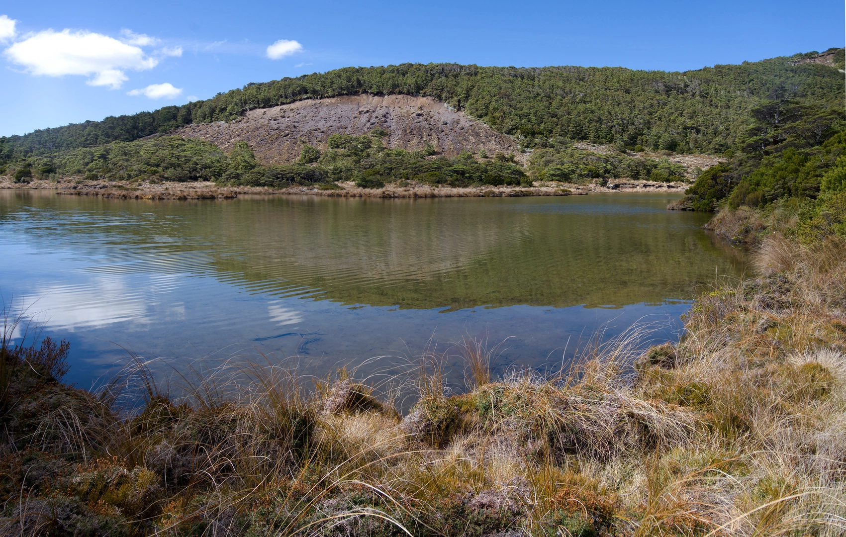 An image depicting the trail Ohakune Mountain Rd - Lake Surprise and its surrounding area.