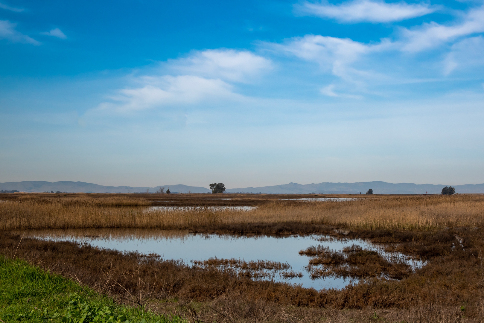 An image depicting the trail Montezuma Slough Walk and its surrounding area.
