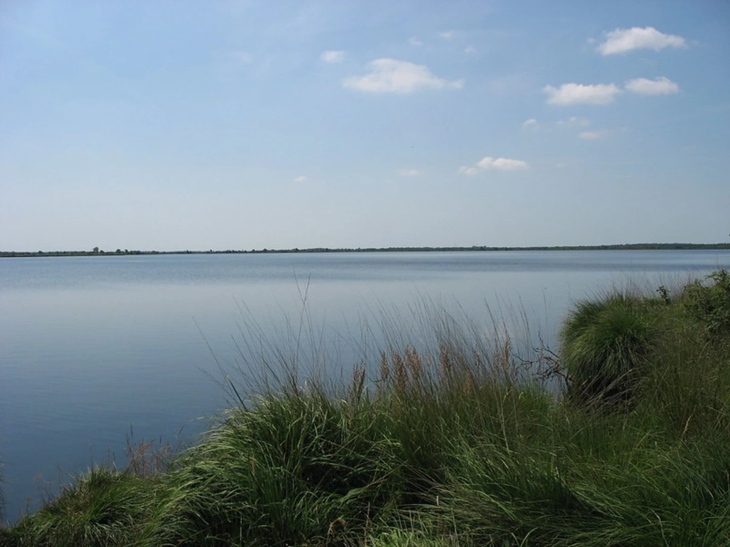 An image depicting the trail Kiessee Münkeboe Loop Walk and its surrounding area.