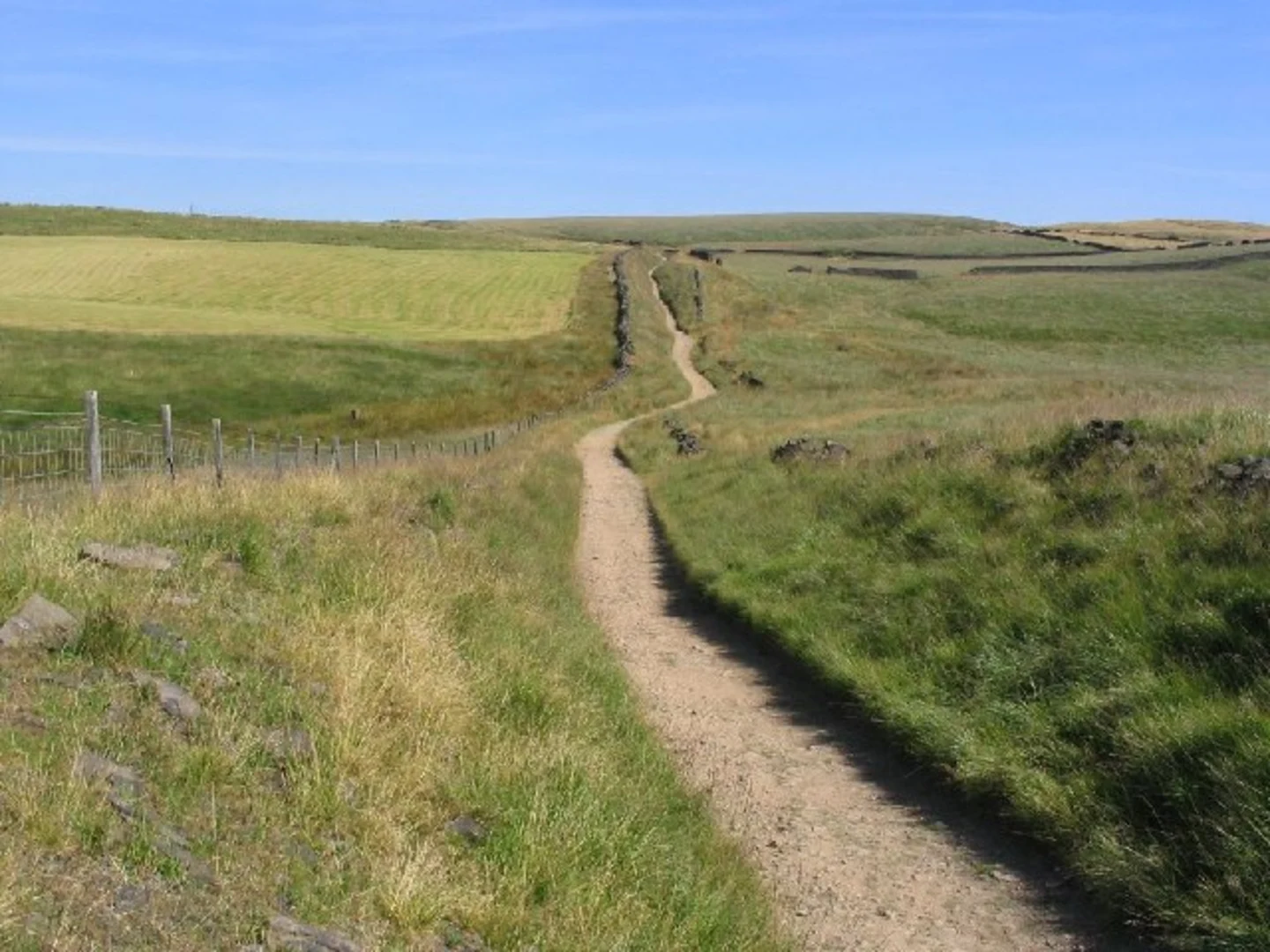 An image depicting the trail Watergrove Reservoir and Woodland Loop and its surrounding area.