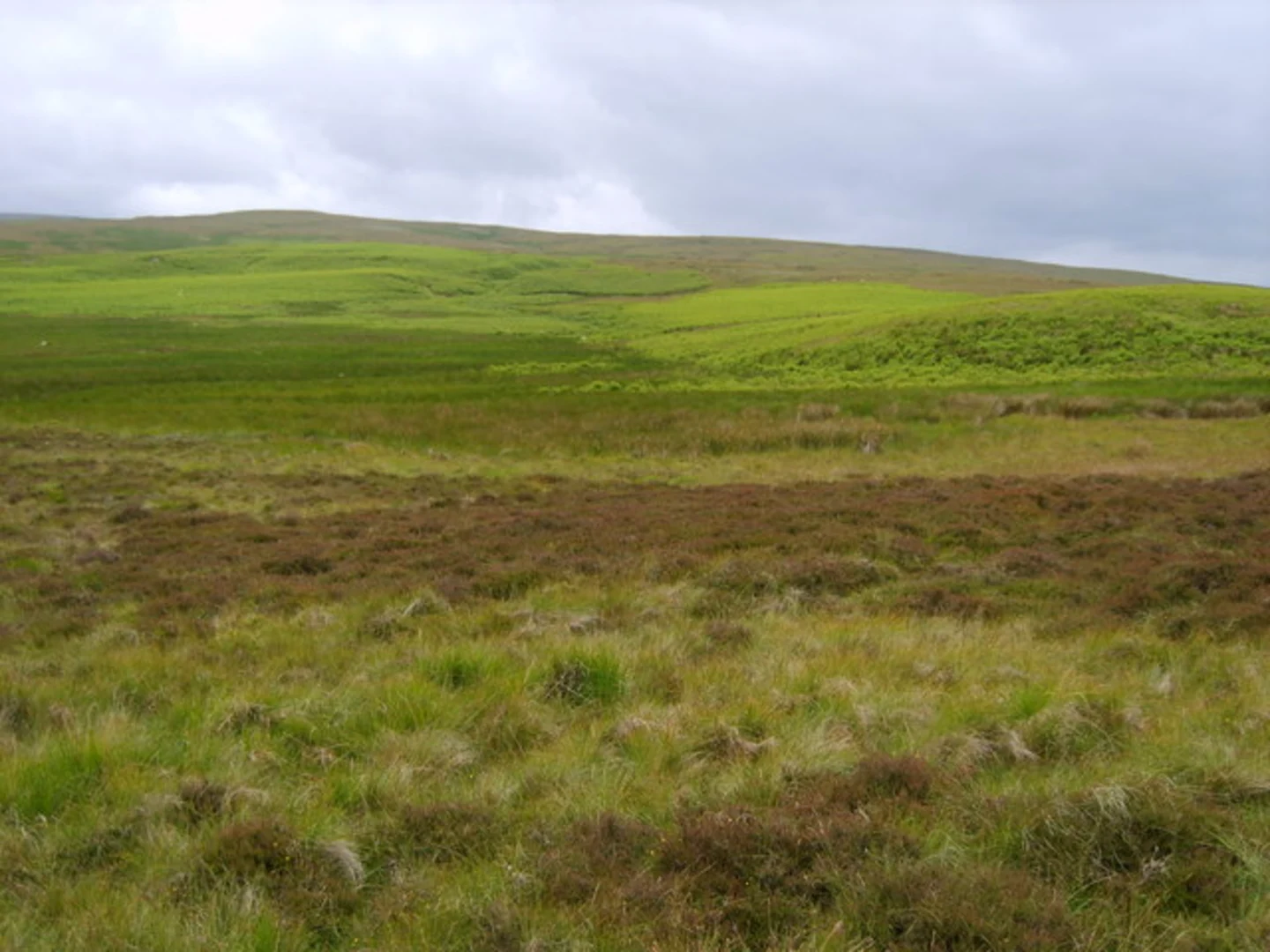 An image depicting the trail Orton to Kirkby Stephen Walk via Begin Hill and its surrounding area.