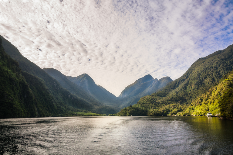 An image depicting the trail Old Doubtful Sound Track and its surrounding area.