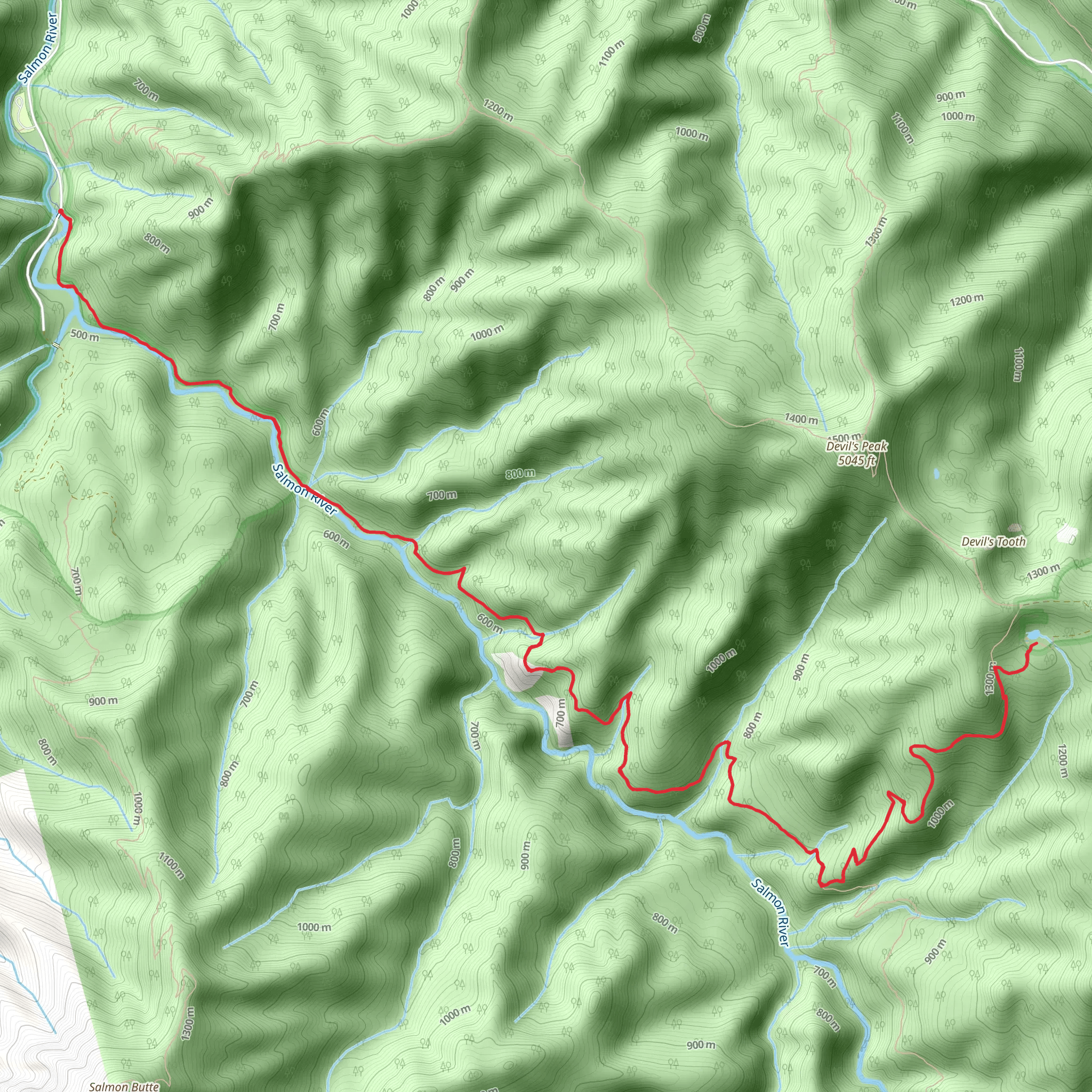 Kinzel Lake via Salmon River Trail mobile static map