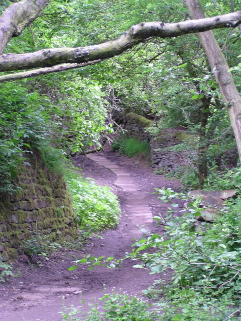 An image depicting the trail Bankhouse Bottom, Hill Green and Pudsey Beck Loop and its surrounding area.