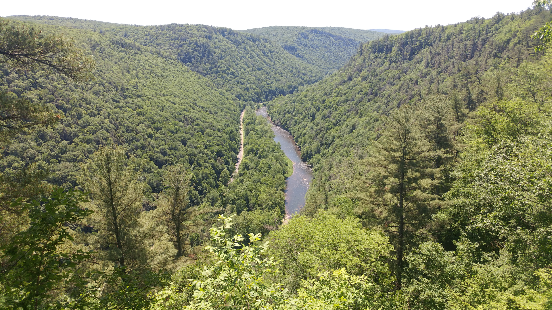 An image depicting the trail Pine Creek Rail Trail and its surrounding area.