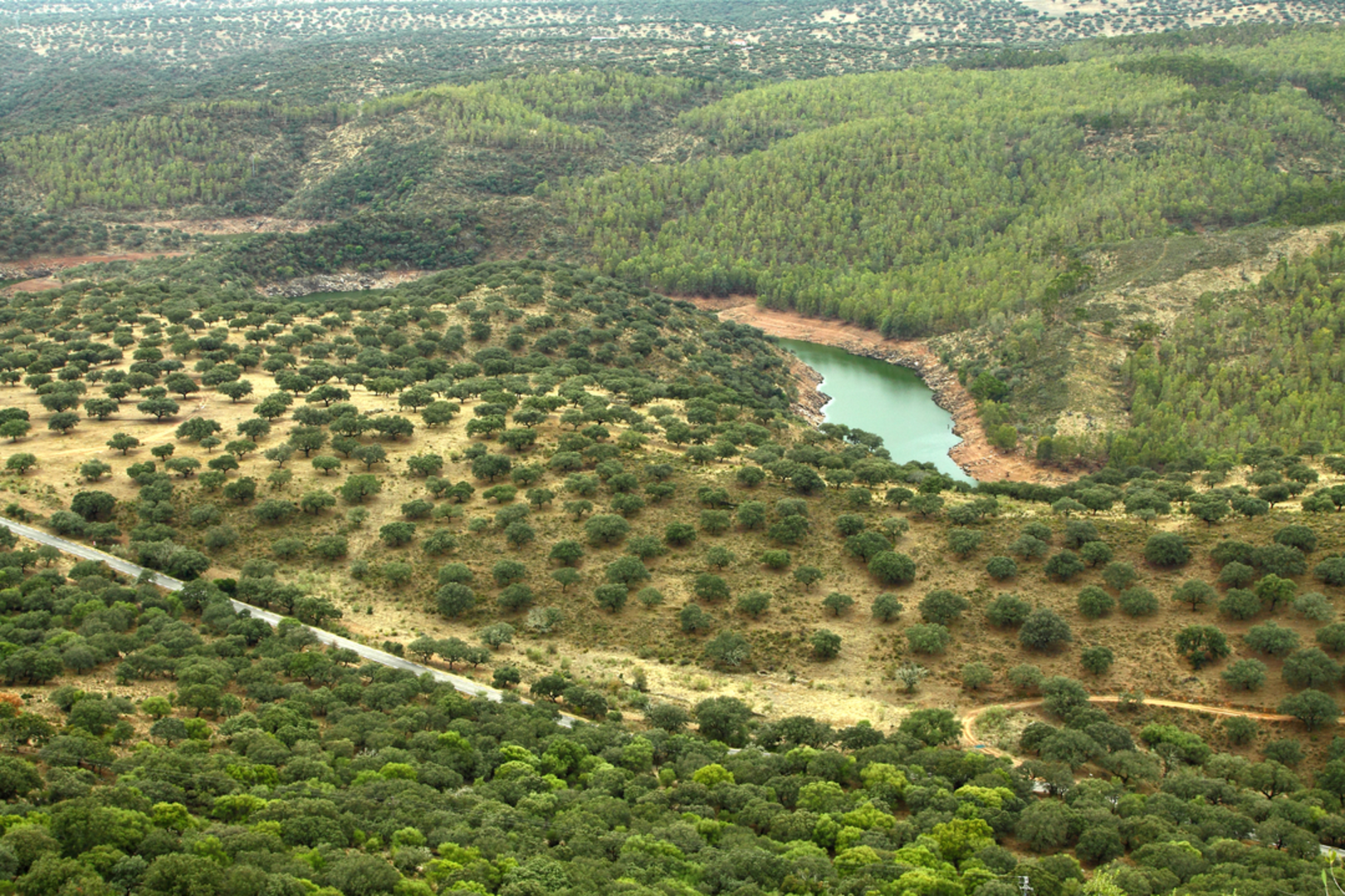 An image depicting the trail Mill of the Hoyuela SL CC 43 and its surrounding area.