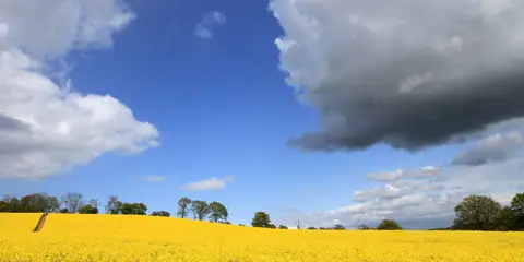 East Grinstead to Groombridge Walk - Sussex