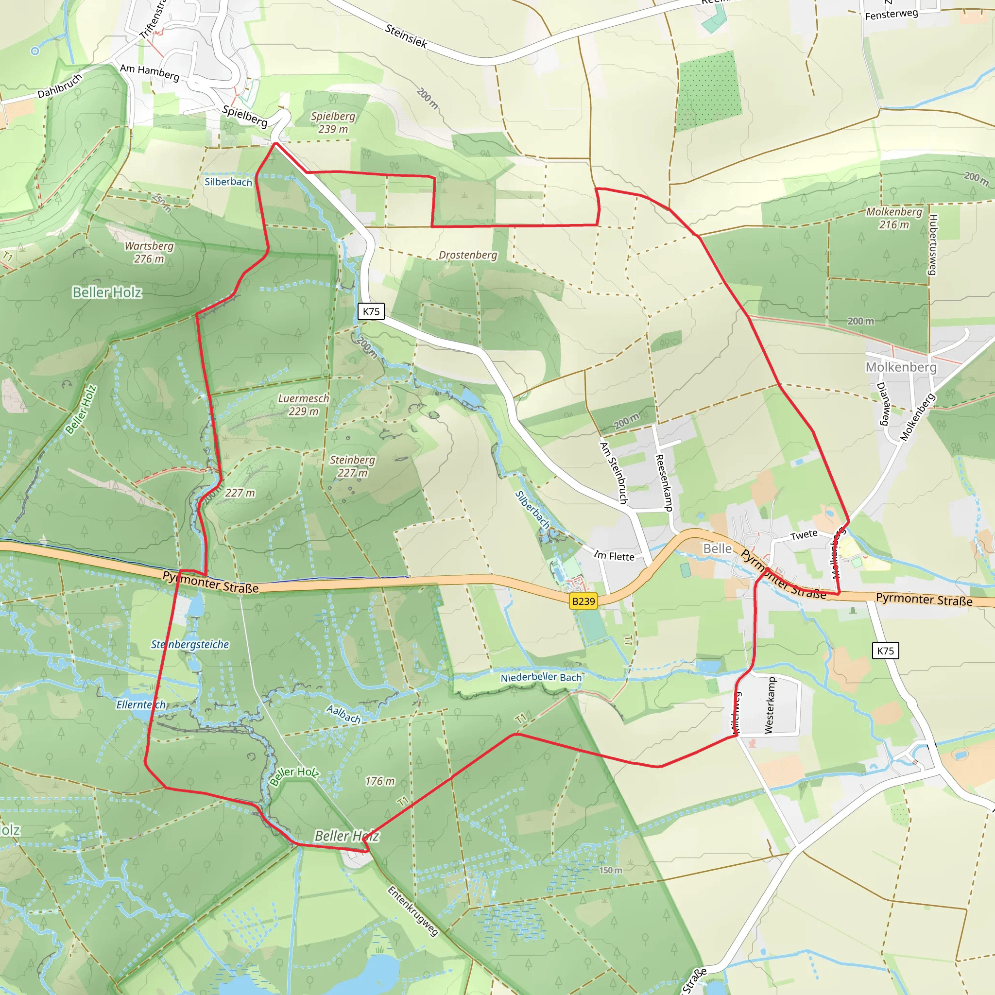 Belle Loop via Beller Holz mobile static map