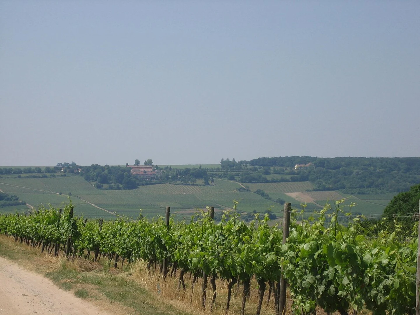An image depicting the trail Landkirchen to Lemkenhafen and Lemkendorf Loop - Orther Bucht and its surrounding area.