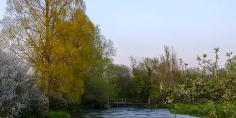 An image depicting the trail Meon Valley Trail and its surrounding area.