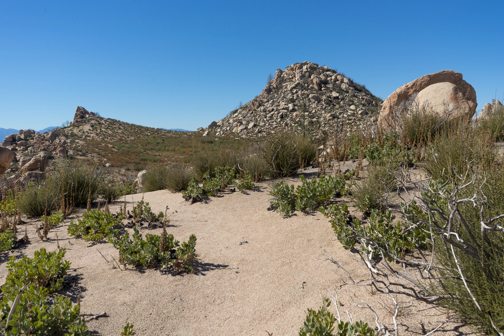 An image depicting the trail Pinnacles Trail and its surrounding area.