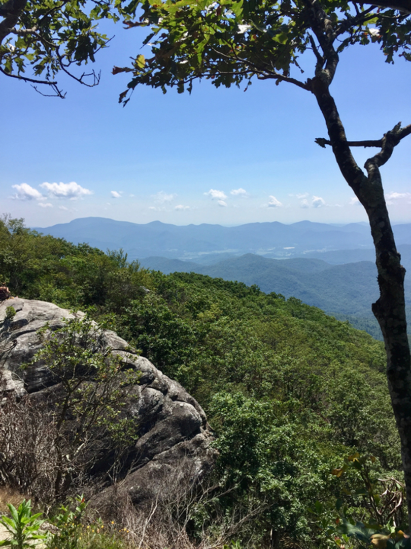 An image depicting the trail Pickens Nose Trail and its surrounding area.