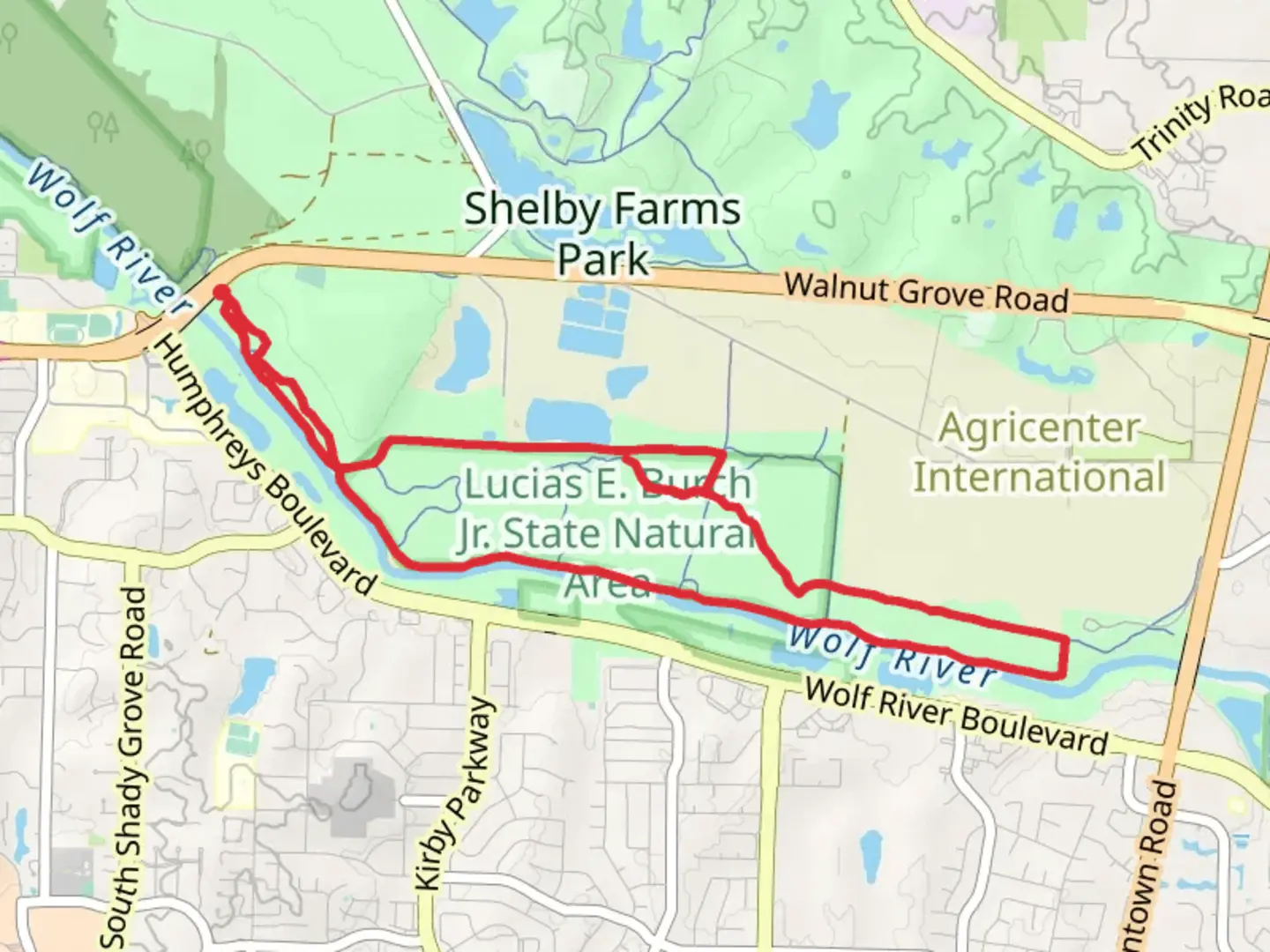 An image depicting the trail Wolf River Loop Trail - Yellow and Blue and its surrounding area.
