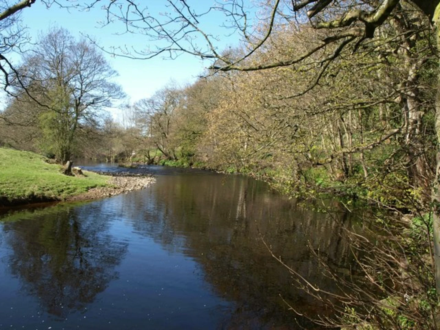 An image depicting the trail Bewerley Park, Abraham Crags and North Woods Loop and its surrounding area.
