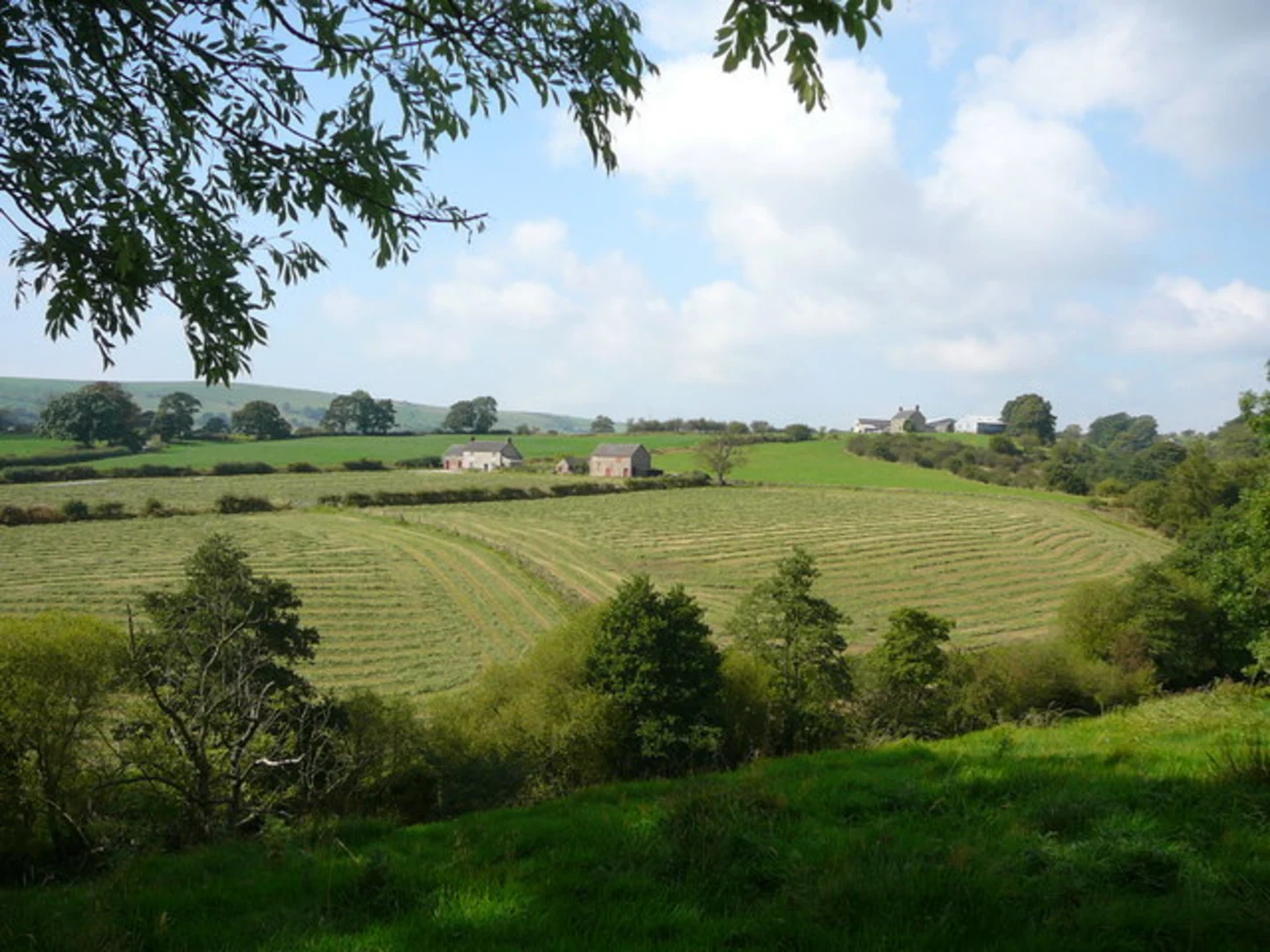 An image depicting the trail Golborne to Far Moor Walk and its surrounding area.