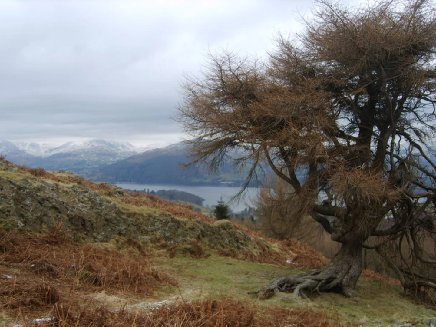 An image depicting the trail Latterbarrow, Moss Eccles Tarn and Heald Wood Loop and its surrounding area.
