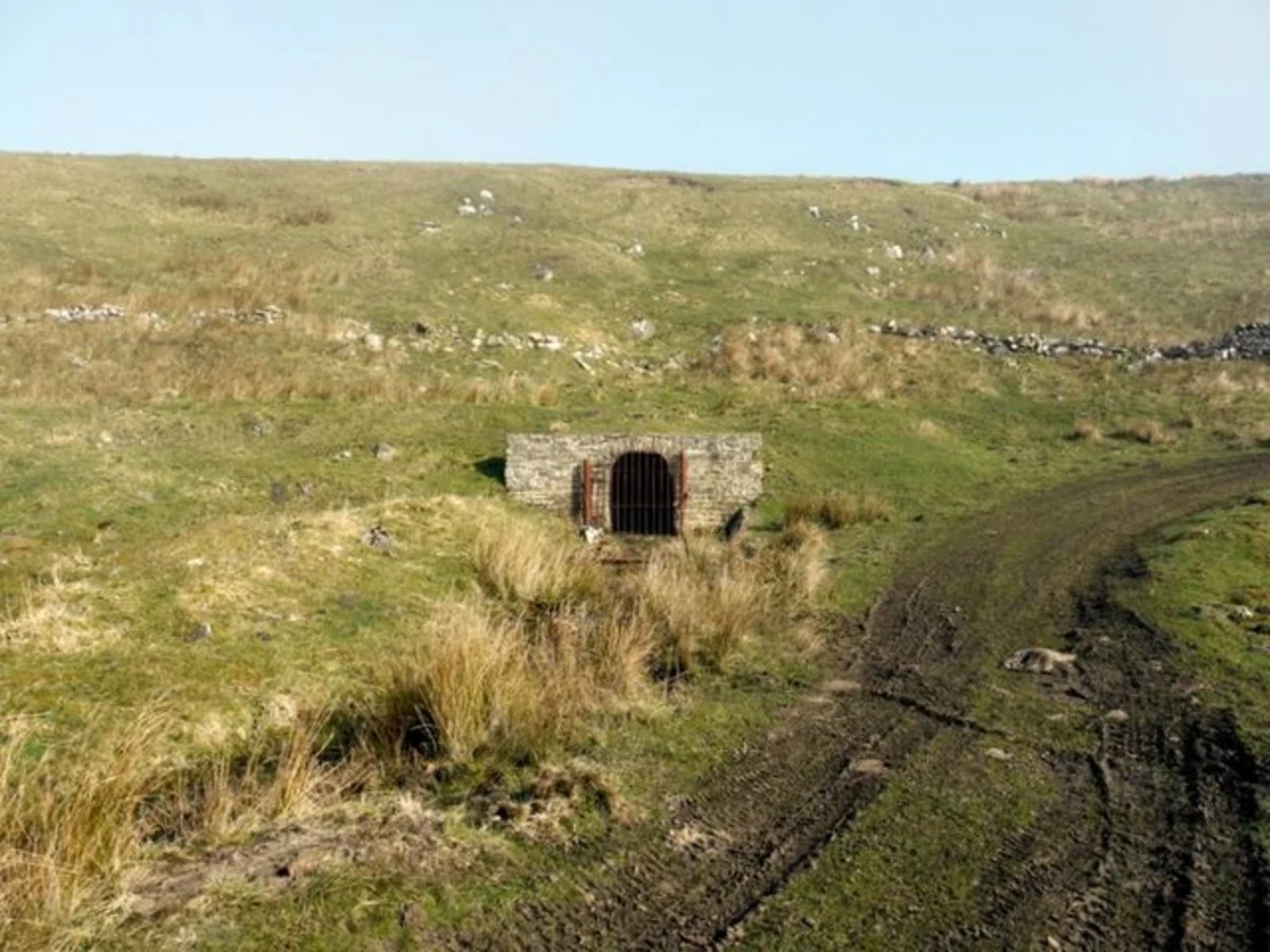 Slitt Wood and Westgate Loop