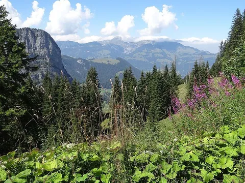 Tschuggen-Alpwanderweg