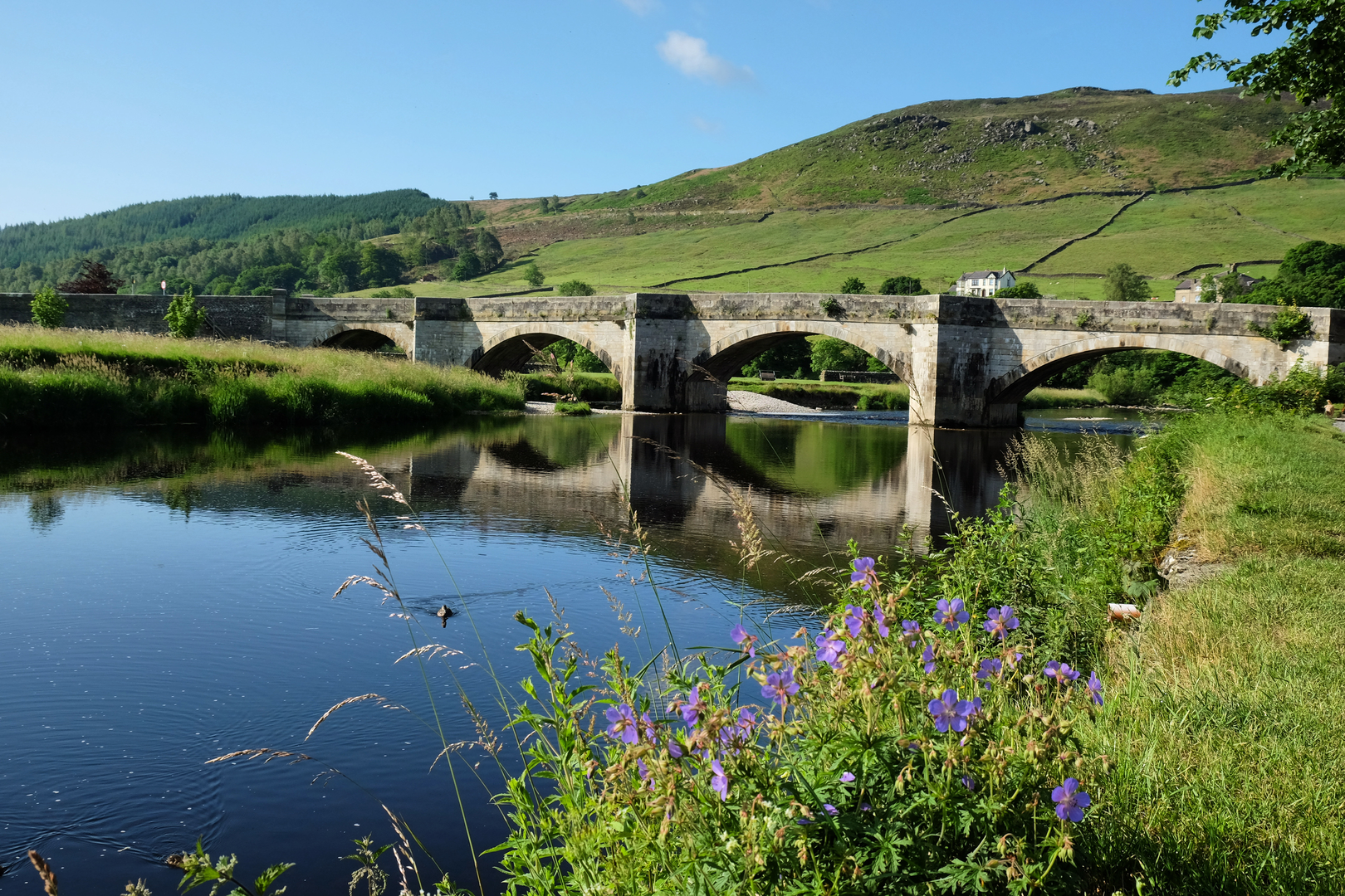 An image depicting the trail Burnsall Walk and its surrounding area.
