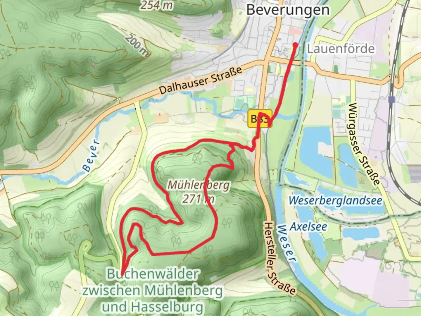 An image depicting the trail Mühlenberg Loop and its surrounding area.