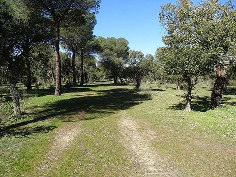 Zofraga Trail PR VA 37