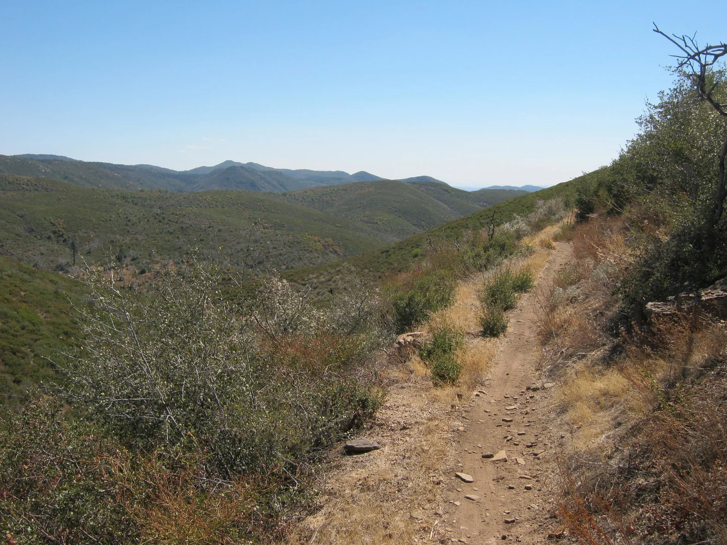 An image depicting the trail Champagne Pass via Pine Mountain Trail and its surrounding area.