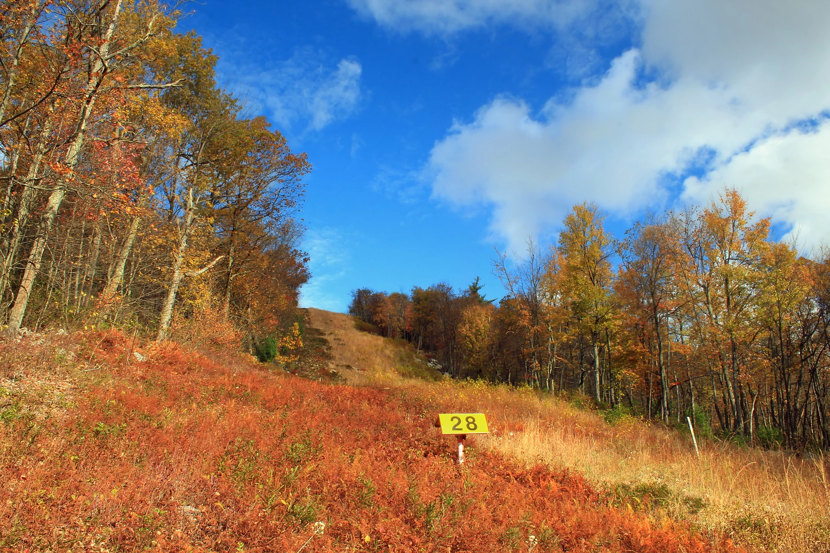 An image depicting the trail Meade's Mountain Loop and its surrounding area.